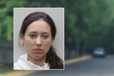 Fairfax mother charged with killing 2 children refused to show up in court
