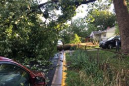 Parts of Prince George's County, including College Park, were included in severe storm warnings issued late Monday afternoon by the National Weather Service. (Courtesy City of College Park)