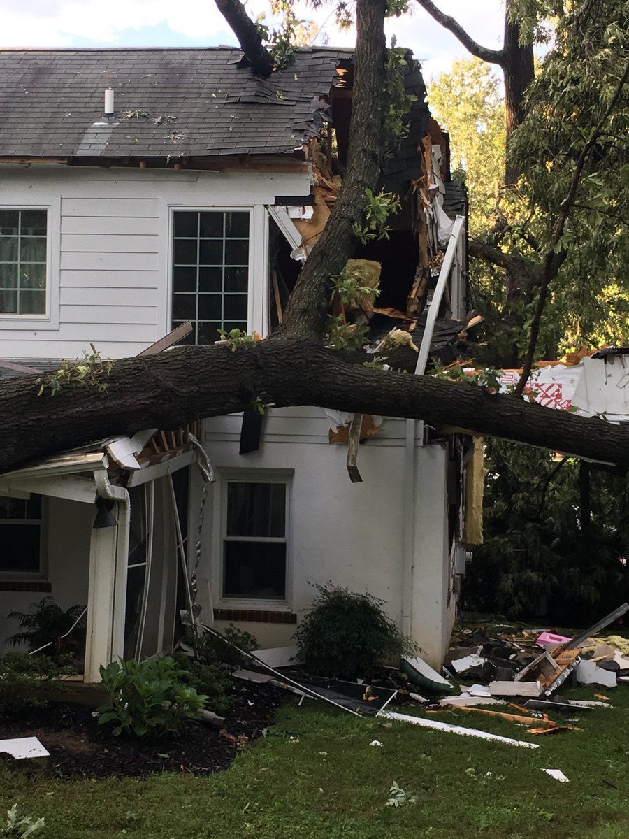One College Park resident wrote "that storm had me shook, trees down, hail … my hands still shaking … no warning, no nothing." (Courtesy City of College Park)