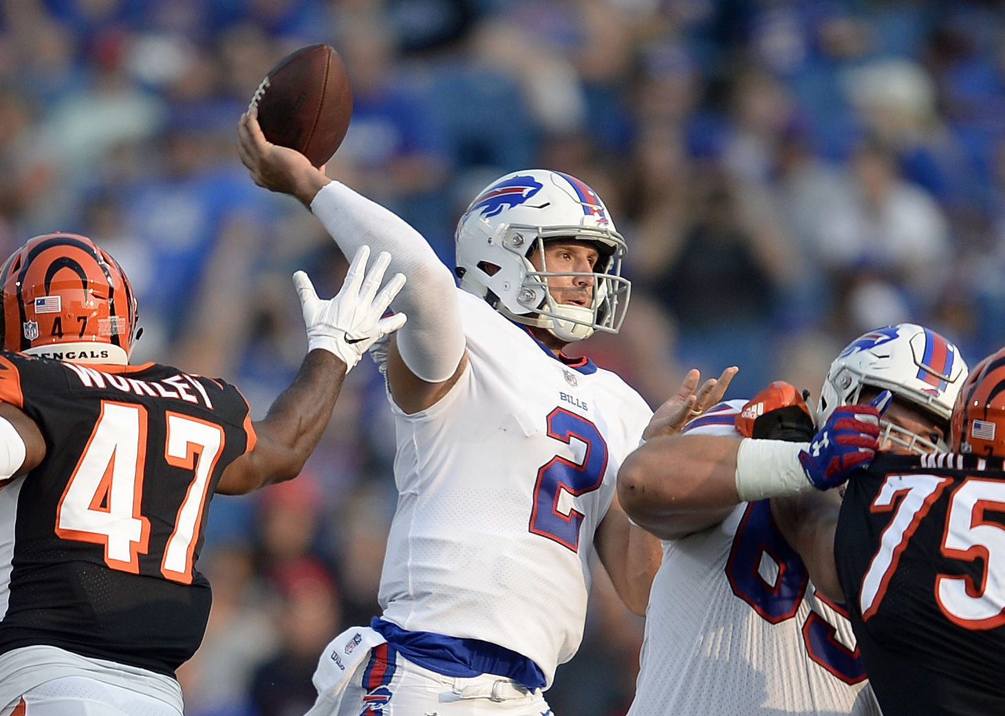 FILE - In this Aug. 26, 2018, file photo, Buffalo Bills quarterback Nathan Peterman (2) throws a pass during the second half of a preseason NFL football game against the Cincinnati Bengals, in Orchard Park, N.Y. The Buffalo Bills have named Nathan Peterman their starting quarterback in a job the second-year player is expected to hold until rookie first-round pick Josh Allen is deemed ready. The Bills made the announcement on their Twitter account before practice Monday morning, Sept. 3, 2018, as the team prepares for its season opener at Baltimore on Sunday. (AP Photo/Adrian Kraus, File)