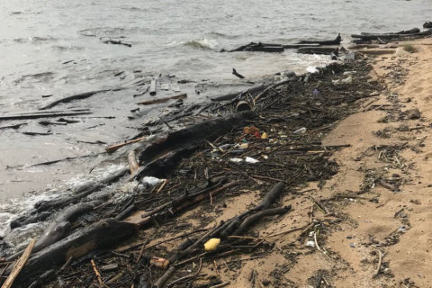 Muck piles up at Sandy Point, other beaches; officials seek volunteers for cleanup