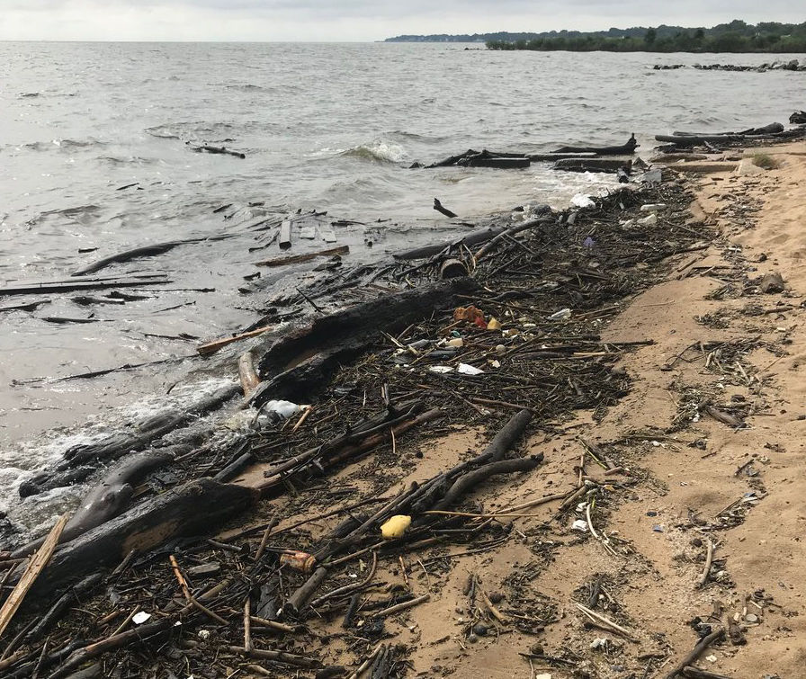 The Anne Arundel Department of Health has advised people against swimming in some area beaches following the pile up of debris. (Courtesy Anne Arundel County Department of Health) 