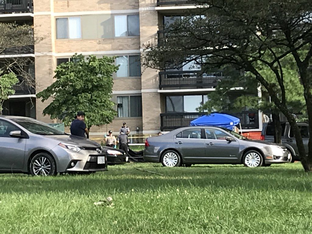 Fairfax County police at the scene where a child fell from a window and died at Skyline Towers Apartments Monday. (WTOP/Michelle Basch)