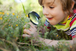 Happy little boy looking through magnifying glass on a sunny day