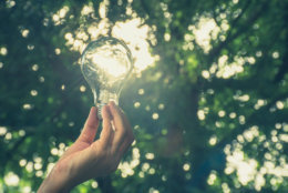 Hand of person holding light bulb for idea or success or solar energy