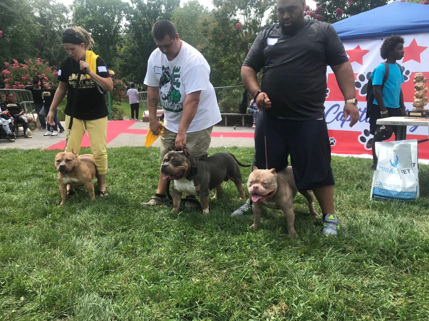 Chuck Brown Day also featured a unique show-judging competition of "American Bully" dogs. Nekos explained that the "Bully" dog show was meant to remind kids not to bully — a behavior unwelcome in the Brown household. (WTOP/Dick Uliano)
