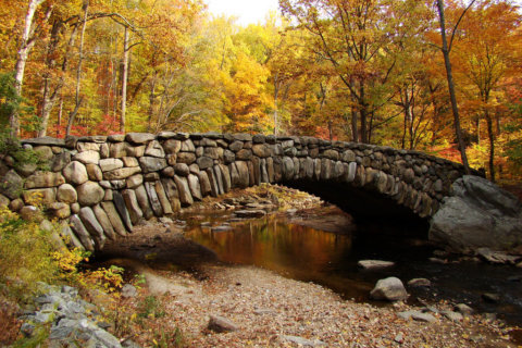 A few Capitol stones will remain in DC’s Rock Creek Park