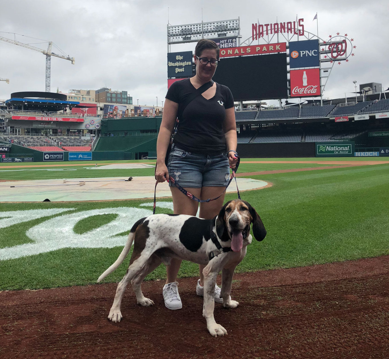 Smoke the dog at Nationals Park with his new mom. (Courtesy Animal Welfare League of Arlington)