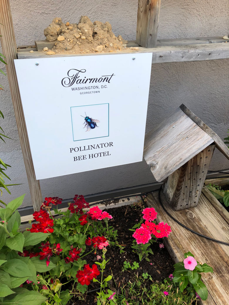 The Fairmont Hotel, along with hosting honeybees, provides a "hotel" for wild, independent bees. (WTOP/Dan Friedell)