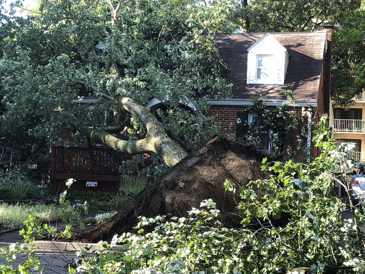 Strong winds blew through College Park Monday evening, displacing some residents. 