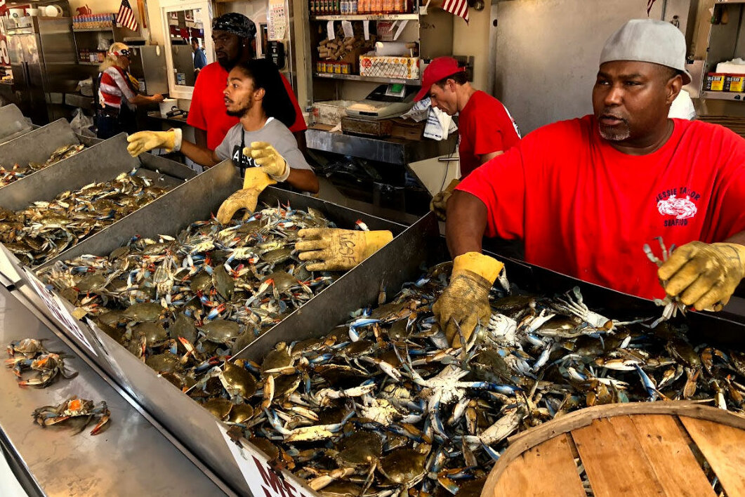 A three-day weekend is a welcomed time for sellers of Maryland blue crabs. (WTOP/Mike Murillo)