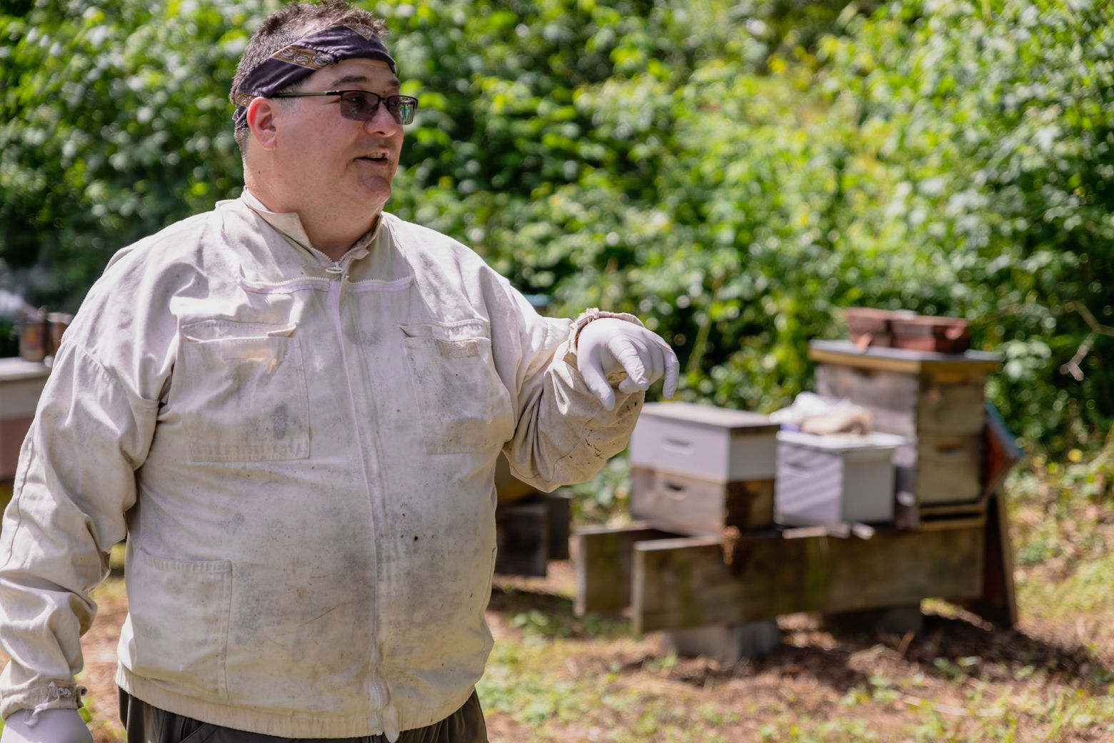 John Ferree started working with bees as a boy, but had to re-learn the hobby as an adult. He doesn't mind being stung once in a while. (Courtesy Accor Hotels)