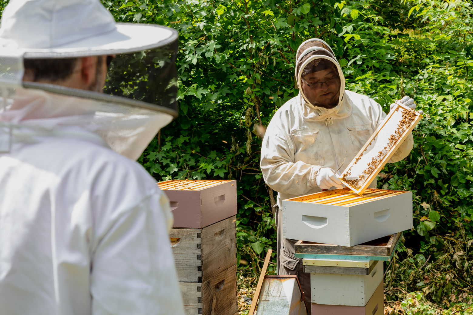 "You can’t just buy bees and a box to put them in, and throw them in your backyard. You really have to be educated on how to manage them properly," said John Ferree, the beekeeper at the Kennedy Center. (Courtesy Accor Hotels) 