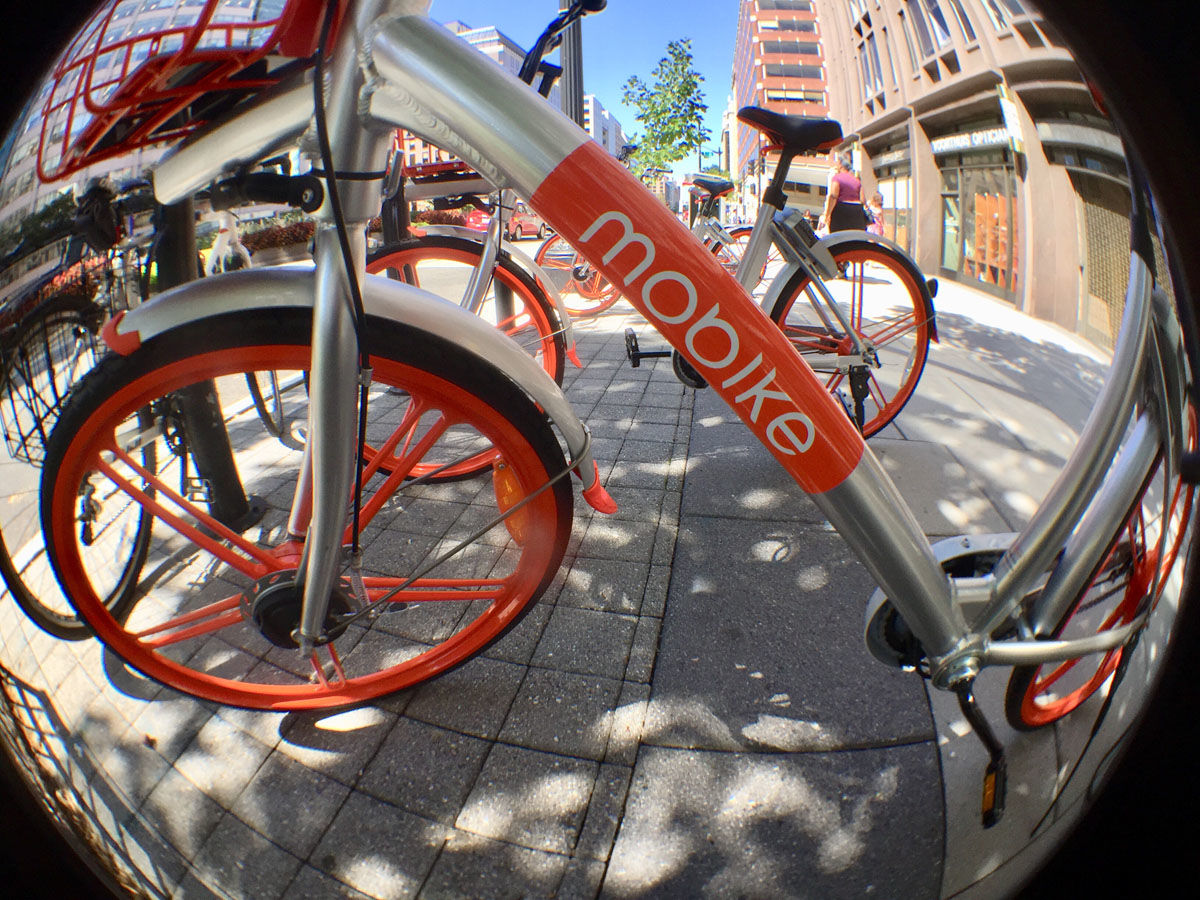 Dockless bike-sharing companies Ofo and Mobike are pulling out of the District. A few Mobikes are seen here on a D.C. street. (WTOP/Kate Ryan)