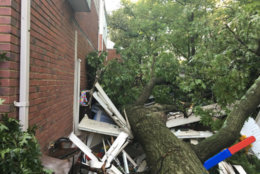 Trees fell in College Park after strong storms blew through Monday evening. (Courtesy Prince George's County Fire Department)