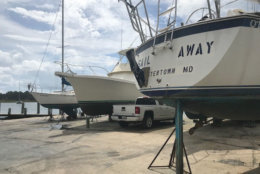 A marina in Morehead, North Carolina, taking boats to dry-dock Sept. 11, 2018 as Hurricane Florence churns toward the coast. (WTOP/Steve Dresner)