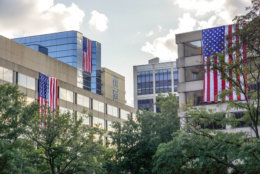 This year, 29 buildings are taking part in the Flags Across Rosslyn event. (Courtesy Rosslyn Business Improvement District)
