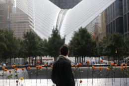 A man looks at the North Pool at the World Trade Center during a ceremony marking the 17th anniversary of the terrorist attacks on the United States. Tuesday, Sept. 11, 2018, in New York. In the background is the World Trade Center Transportation Hub. (AP Photo/Mark Lennihan)