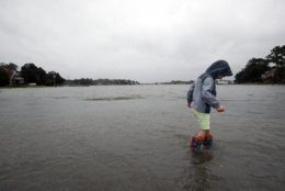 Emmett Marshall, 4, from Norfolk, Va. wades in floodwaters, Friday, Sept. 14, 2018, in the Larchmont area of Norfolk, Va., as the effects of Hurricane Florence are felt. (AP Photo/Alex Brandon)