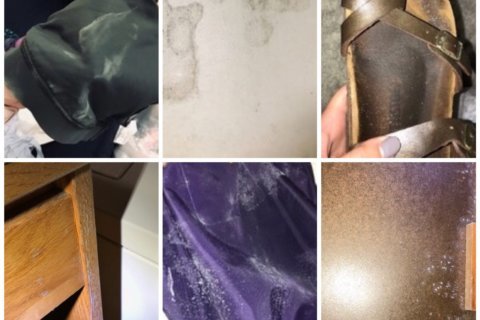 U.Md. students moved to hotels after mold concerns