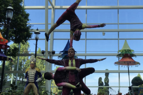 Cirque Dreams Christmas show to soar over National Harbor this holiday season