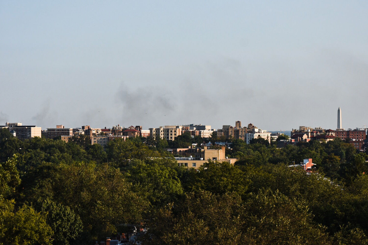 The view from D.C.'s Woodley Park neighborhood. (WTOP/Alejandro Alvarez)
