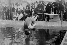 Harry Houdini, handcuffed, and with his feet bound in chains, dives into pool at Los Angeles, May 7, 1923. (AP Photo)