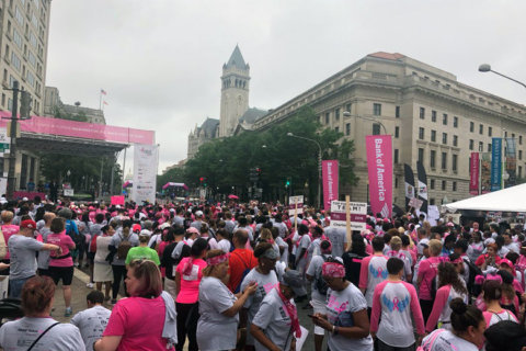DC’s Race for the Cure brings in almost $600,000 for cancer research