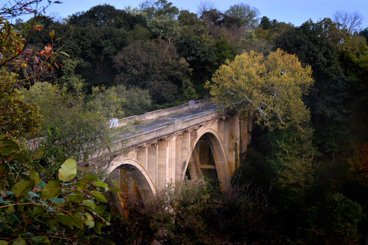 An abandoned, three-arch bridge towers over the Monocacy River in Maryland between Frederick and Linganore. The bridge was constructed in 1942 and was closed in 1985. (WTOP/Dave Dildine)