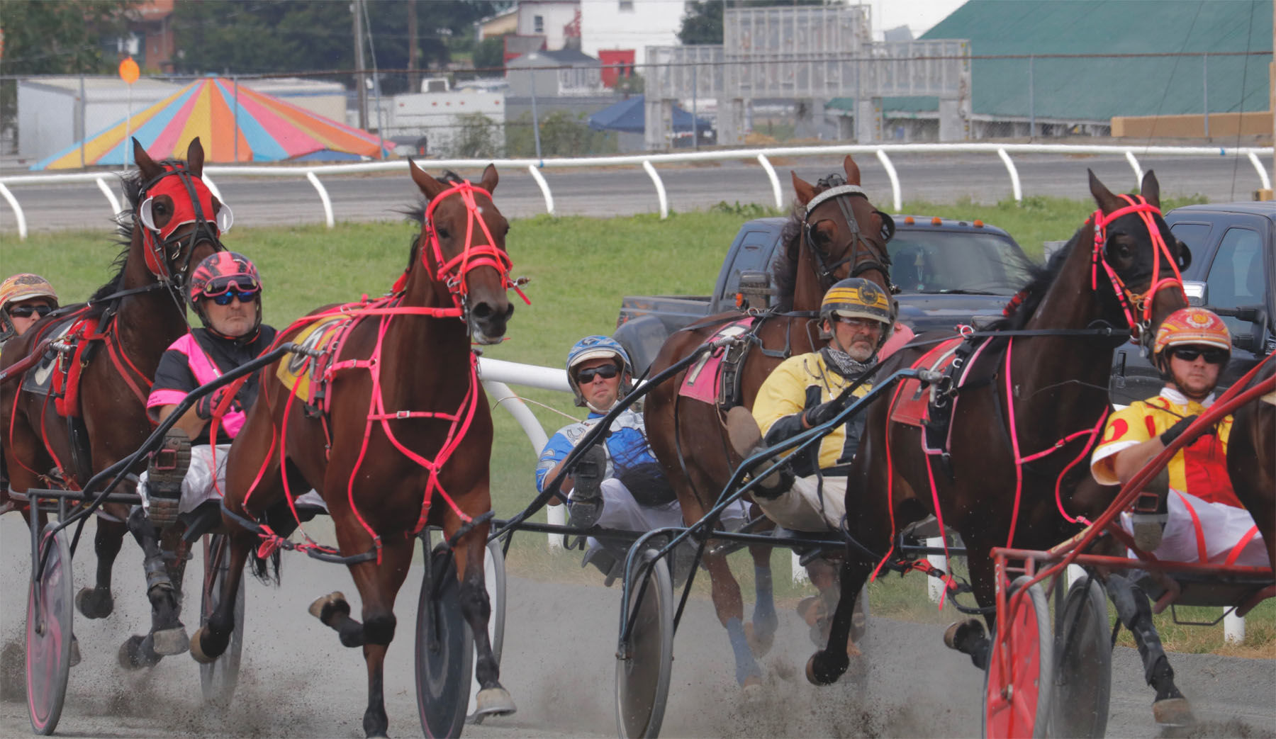 Harness racers in a cluster at the Grandstand at the Great Frederick Fair. (WTOP/Kate Ryan)