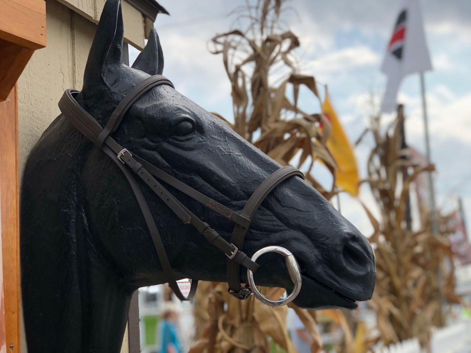 Detail of the equestrian display at the Great Frederick Fair. (WTOP/Kate Ryan)