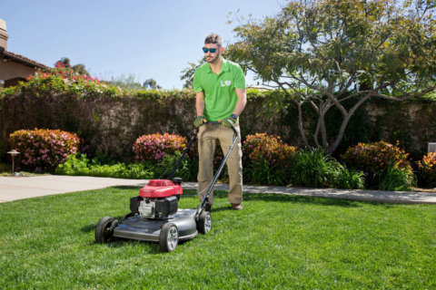 Joe Montana-backed Uber for lawn care comes to DC