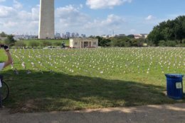 Planting what eventually looked like a carpet of fluttering American flags, veterans groups were on the National Mall Wednesday to raise awareness about veteran suicides.(WTOP/Kristi King)