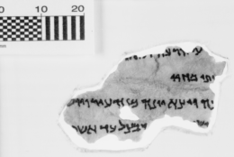 This fragment is identified as Jonah 4:2-5, and it is part of the Museum of the Bible's collection of 16 Dead Sea Scrolls fragments. (Courtesy Museum of the Bible)
