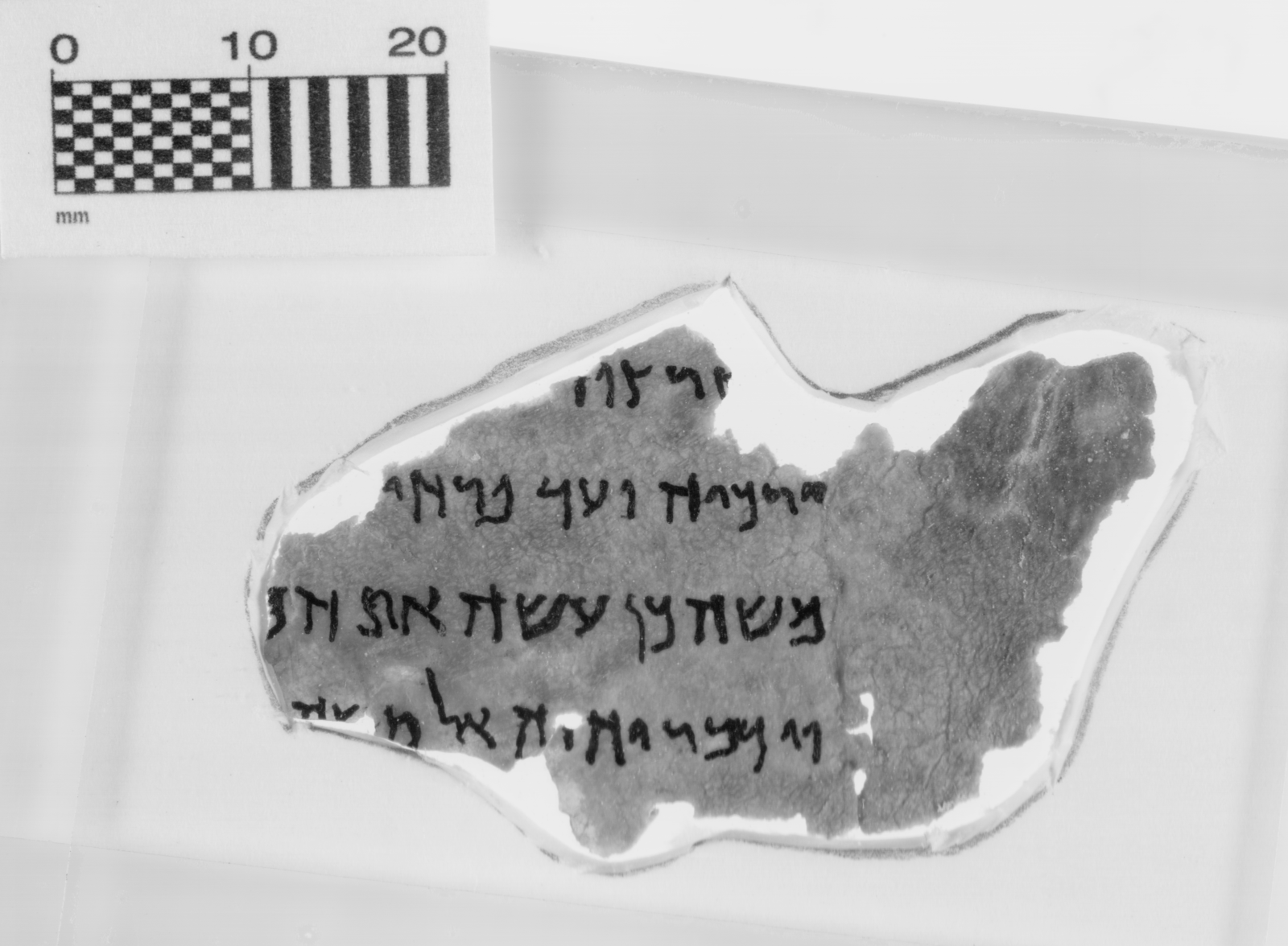 This fragment is identified as Numbers 8:3-5, and it is part of the Museum of the Bible's collection of 16 Dead Sea Scrolls fragments. (Courtesy Museum of the Bible)