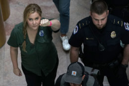 WASHINGTON, DC - OCTOBER 04:  Comedian Amy Schumer (L) is led away after she was arrested during a protest against the confirmation of Supreme Court nominee Judge Brett Kavanaugh October 4, 2018 at the Hart Senate Office Building on Capitol Hill in Washington, DC. Senators had an opportunity to review a new FBI background investigation into accusations of sexual assault against Kavanaugh and Republican leaders are moving to have a vote on his confirmation this weekend. (Photo by Alex Wong/Getty Images)