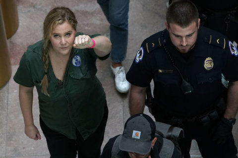Amy Schumer arrested during DC protest of Kavanaugh’s nomination