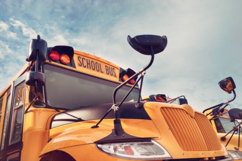 Passing stopped school buses is still a problem in Md.