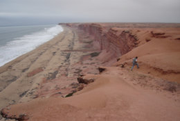 Modern cliffs of coastal Angola where Projecto Paleoangola paleontologists excavate fossils of life that once lived in Angola’s ancient seas. (Projecto Paleoangola)