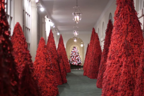PHOTOS: First lady unveils White House 2018 Christmas decorations