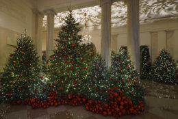 Grand Foyer and Cross Hall are seen during the 2018 Christmas preview at the White House in Washington, Monday, Nov. 26, 2018. Christmas has arrived at the White House for 2018 as first lady Melania Trump unveiled the holiday decor. She designed the decor, which features a theme of "American Treasures." (AP Photo/Carolyn Kaster)