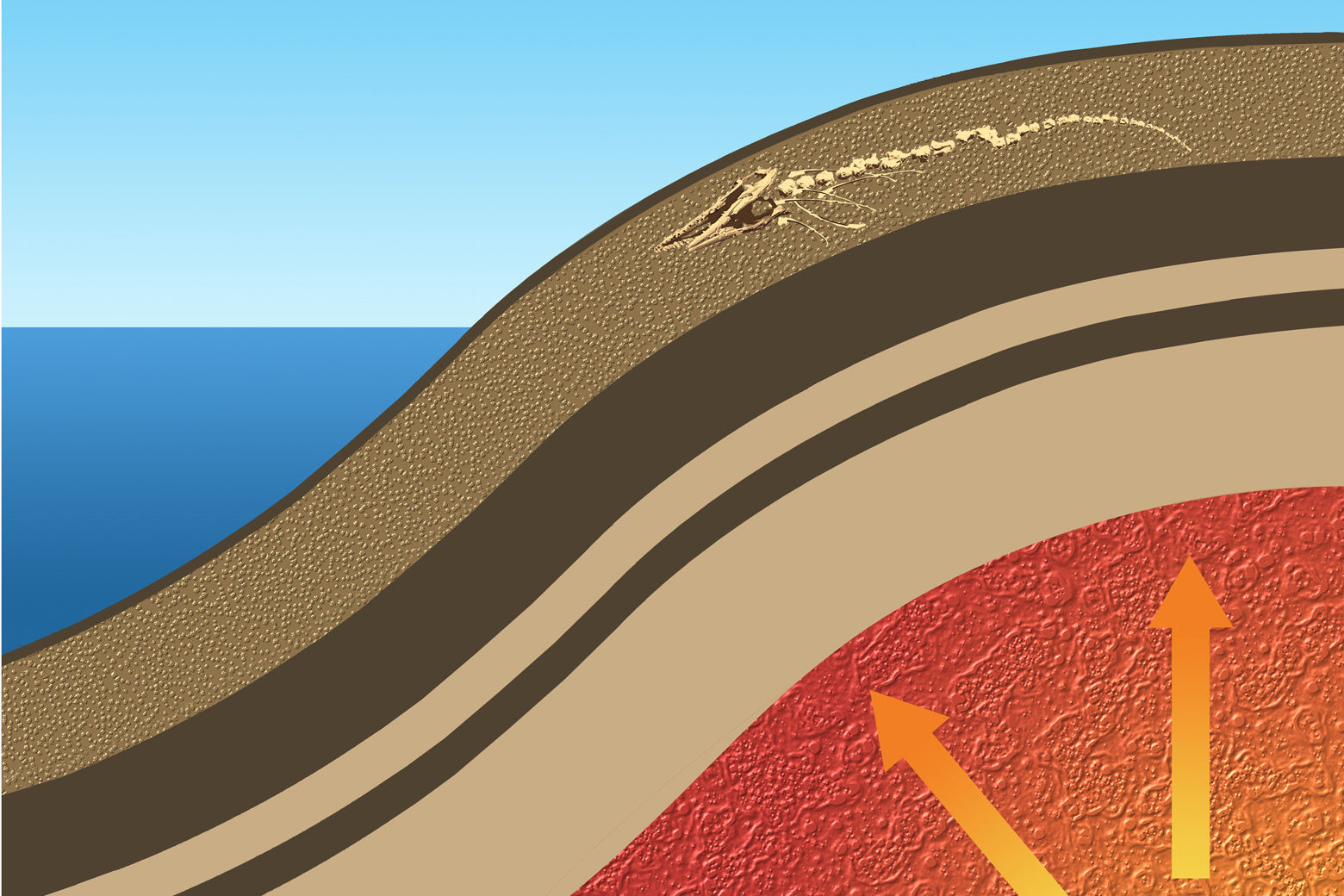 Starting about 45,000 years ago, heat flow within Earth’s mantle caused the crust to bulge in a process called dynamic uplift. Here along Angola’s coast, the bulge lifted the ocean floor hundreds of feet out of the water. (Karen Carr Studios, Inc.)
