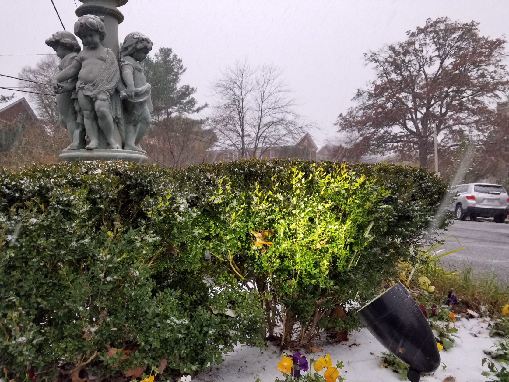 Snow collects on plants and statues in Northwest D.C. (WTOP/Will Vitka)