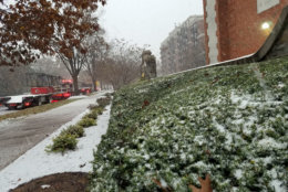 Snow collects along the streets and bushes in Northwest D.C. (WTOP/Will Vitka)