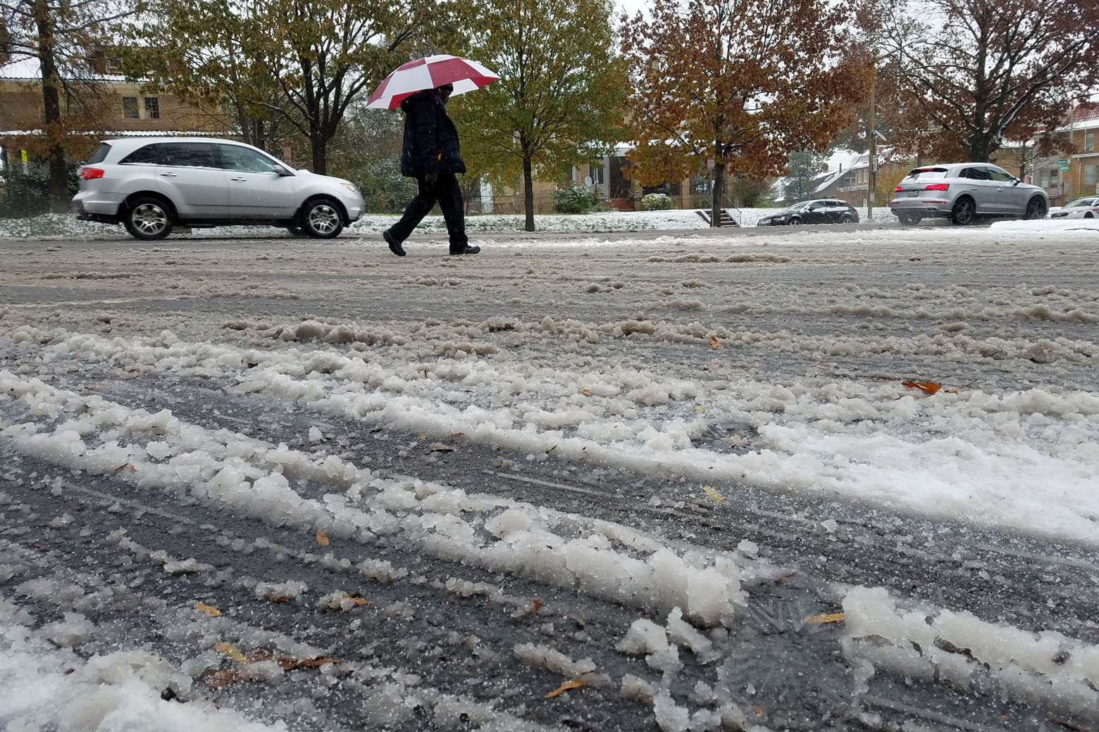 PHOTOS: 1st snow of the season hits DC region | WTOP News