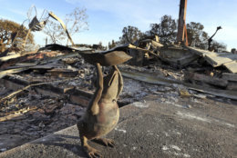 A metal figure of a frog stands outside a home destroyed by the Woolsey Fire on Dume Drive in the Point Dume area of Malibu in Southern California, Tuesday, Nov. 13, 2018. (AP Photo/Reed Saxon)
