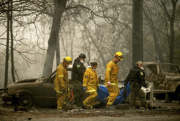 Firefighters recover the body of a Camp Fire victim at the Holly Hills Mobile Estates on Wednesday, Nov. 14, 2018, in Paradise, Calif. Thousands of homes were destroyed when flames hit Paradise, a former gold-mining camp popular with retirees, on Nov. 8, killing multiple people in California's deadliest wildfire. (AP Photo/Noah Berger)