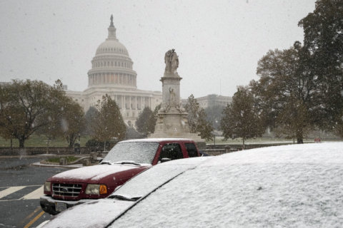 What could a November snowstorm tell us about the winter ahead?