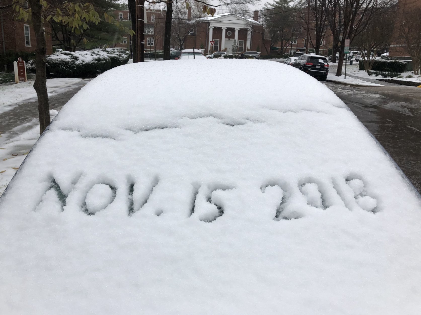 Snow covers car windshields in Northwest Washington, D.C.. (WTOP/Dave Dildine)