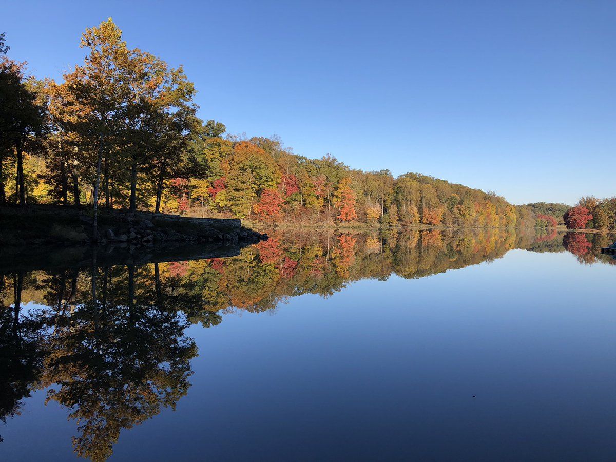 Twitter user Alvin Chee shared photos of the beautiful fall colors at Lake Needwood in Montgomery County, Maryland. (Courtesy @AlvinChee2020) 